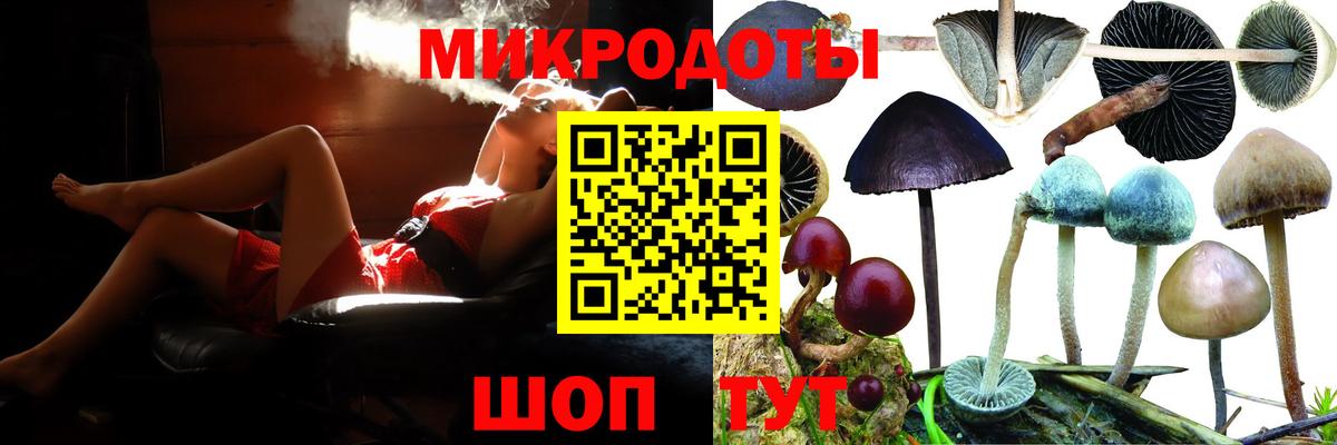 Псилоцибиновые грибы прущие грибы Тамбов