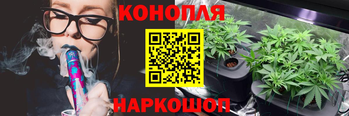 Бошки марихуана конопля  Вход с VPN  Бошки Шишки SATIVA & INDICA  Тамбов  Конопля SATIVA & INDICA  Марихуана AK-47 